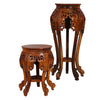 IASCPtS  Peg table small